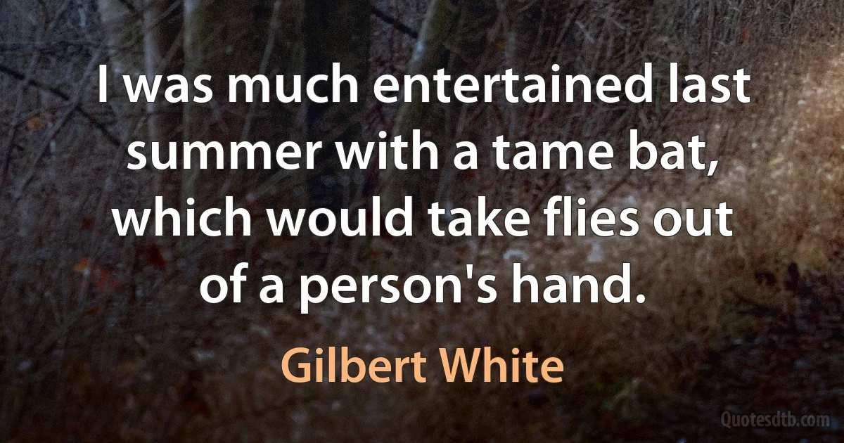 I was much entertained last summer with a tame bat, which would take flies out of a person's hand. (Gilbert White)