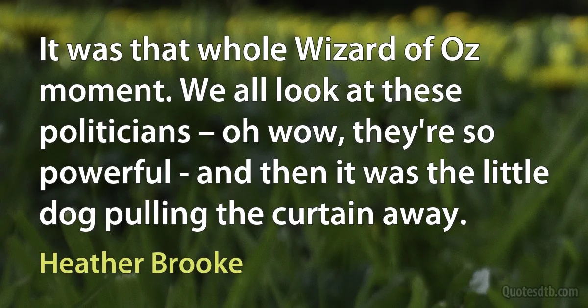 It was that whole Wizard of Oz moment. We all look at these politicians – oh wow, they're so powerful - and then it was the little dog pulling the curtain away. (Heather Brooke)