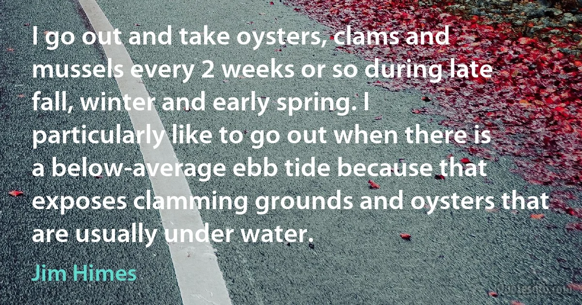 I go out and take oysters, clams and mussels every 2 weeks or so during late fall, winter and early spring. I particularly like to go out when there is a below-average ebb tide because that exposes clamming grounds and oysters that are usually under water. (Jim Himes)