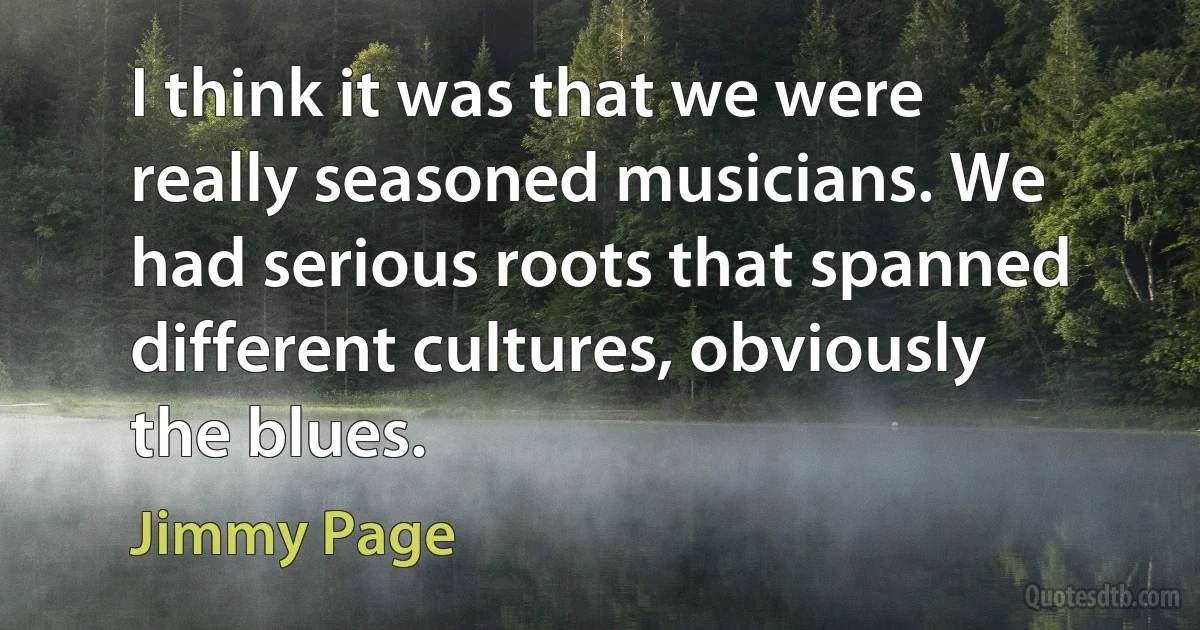 I think it was that we were really seasoned musicians. We had serious roots that spanned different cultures, obviously the blues. (Jimmy Page)