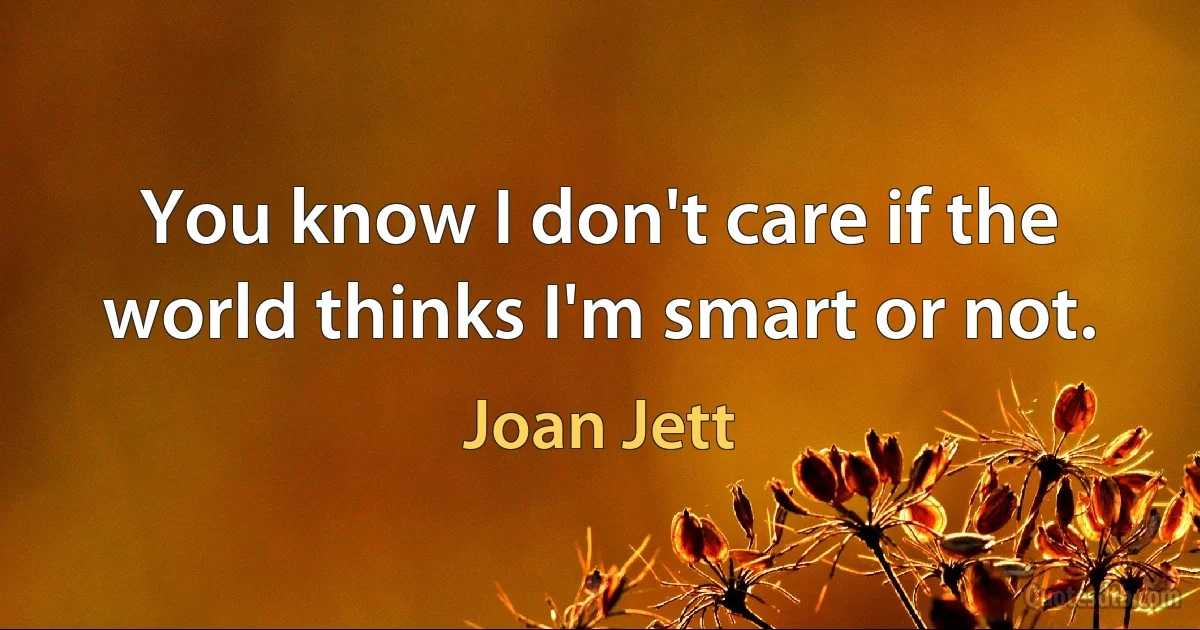 You know I don't care if the world thinks I'm smart or not. (Joan Jett)