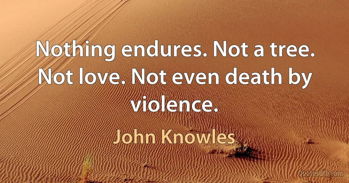 Nothing endures. Not a tree. Not love. Not even death by violence. (John Knowles)