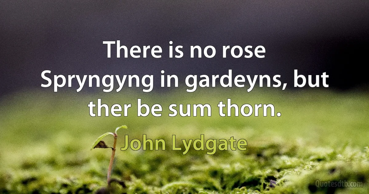 There is no rose
Spryngyng in gardeyns, but ther be sum thorn. (John Lydgate)