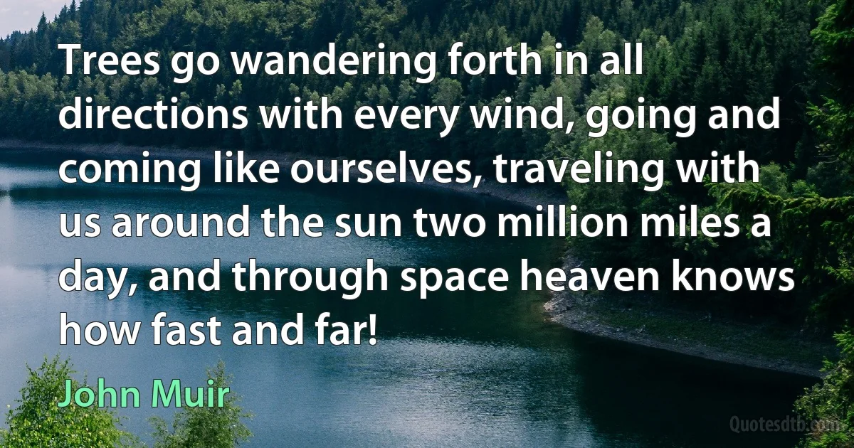 Trees go wandering forth in all directions with every wind, going and coming like ourselves, traveling with us around the sun two million miles a day, and through space heaven knows how fast and far! (John Muir)