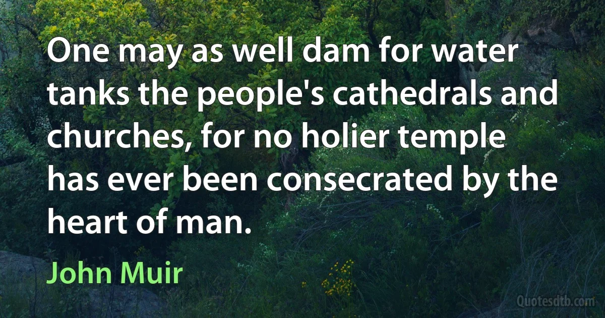 One may as well dam for water tanks the people's cathedrals and churches, for no holier temple has ever been consecrated by the heart of man. (John Muir)