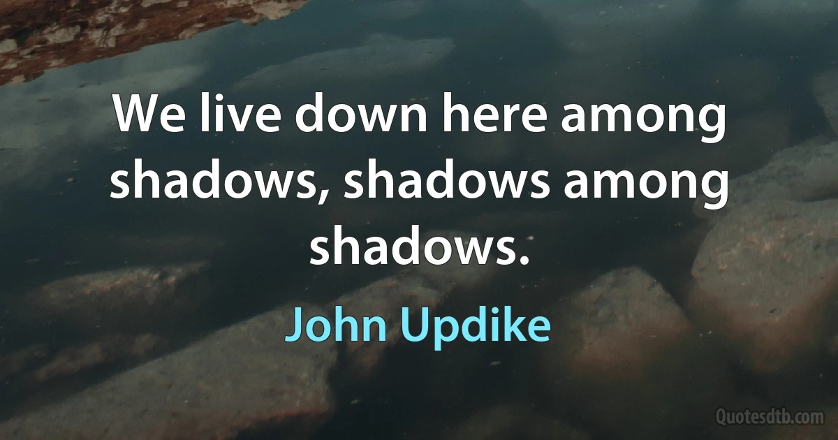 We live down here among shadows, shadows among shadows. (John Updike)