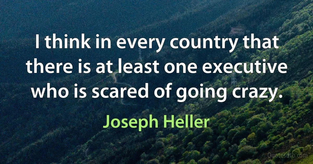 I think in every country that there is at least one executive who is scared of going crazy. (Joseph Heller)