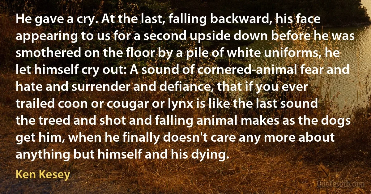 He gave a cry. At the last, falling backward, his face appearing to us for a second upside down before he was smothered on the floor by a pile of white uniforms, he let himself cry out: A sound of cornered-animal fear and hate and surrender and defiance, that if you ever trailed coon or cougar or lynx is like the last sound the treed and shot and falling animal makes as the dogs get him, when he finally doesn't care any more about anything but himself and his dying. (Ken Kesey)