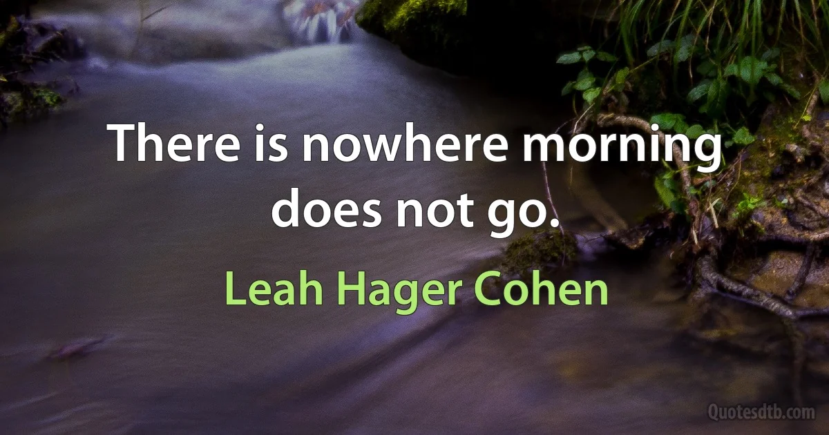 There is nowhere morning does not go. (Leah Hager Cohen)