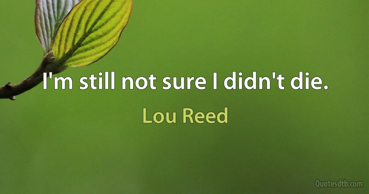 I'm still not sure I didn't die. (Lou Reed)