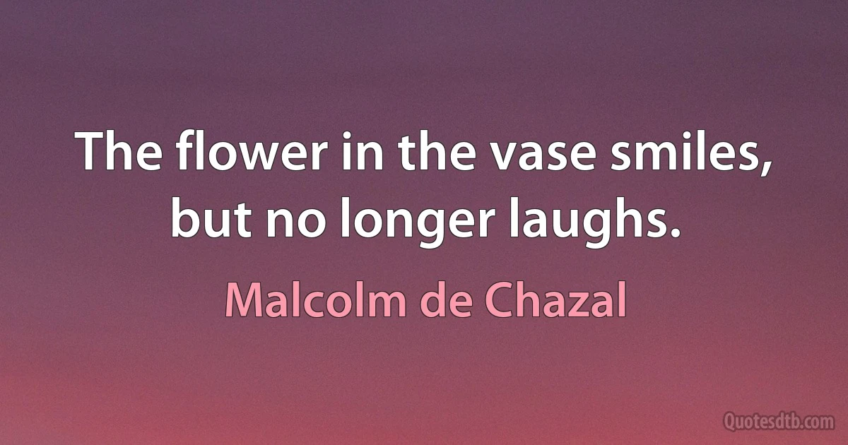 The flower in the vase smiles, but no longer laughs. (Malcolm de Chazal)