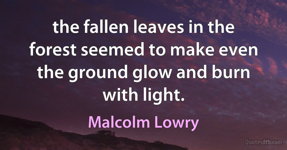 the fallen leaves in the forest seemed to make even the ground glow and burn with light. (Malcolm Lowry)