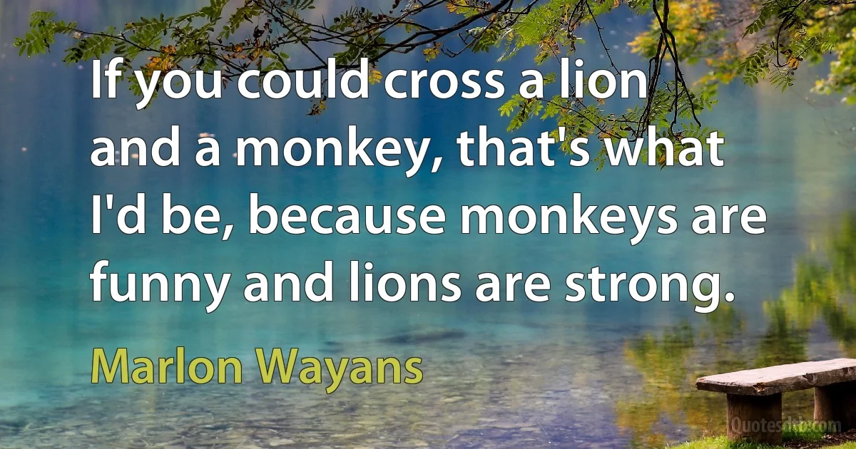 If you could cross a lion and a monkey, that's what I'd be, because monkeys are funny and lions are strong. (Marlon Wayans)