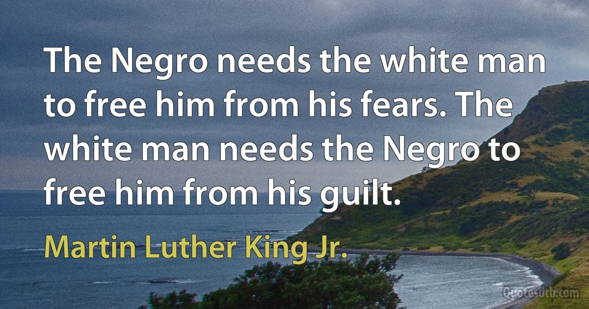 The Negro needs the white man to free him from his fears. The white man needs the Negro to free him from his guilt. (Martin Luther King Jr.)