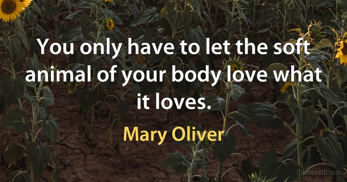 You only have to let the soft animal of your body love what it loves. (Mary Oliver)