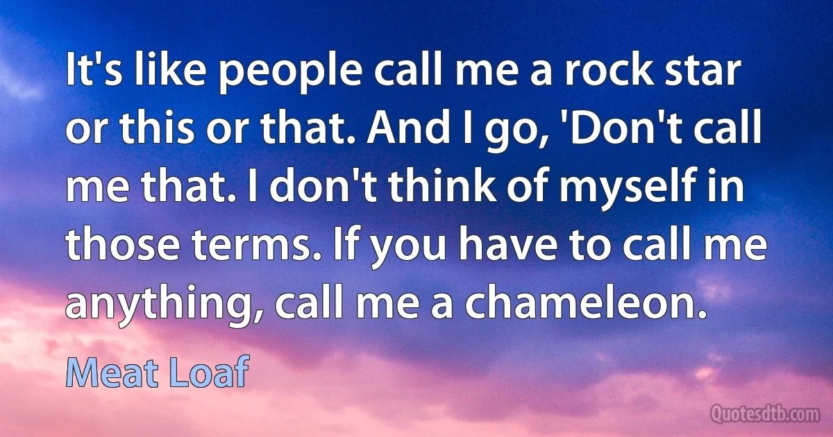 It's like people call me a rock star or this or that. And I go, 'Don't call me that. I don't think of myself in those terms. If you have to call me anything, call me a chameleon. (Meat Loaf)