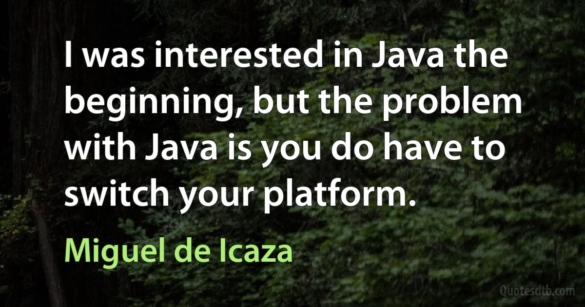 I was interested in Java the beginning, but the problem with Java is you do have to switch your platform. (Miguel de Icaza)