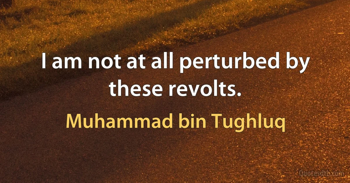 I am not at all perturbed by these revolts. (Muhammad bin Tughluq)