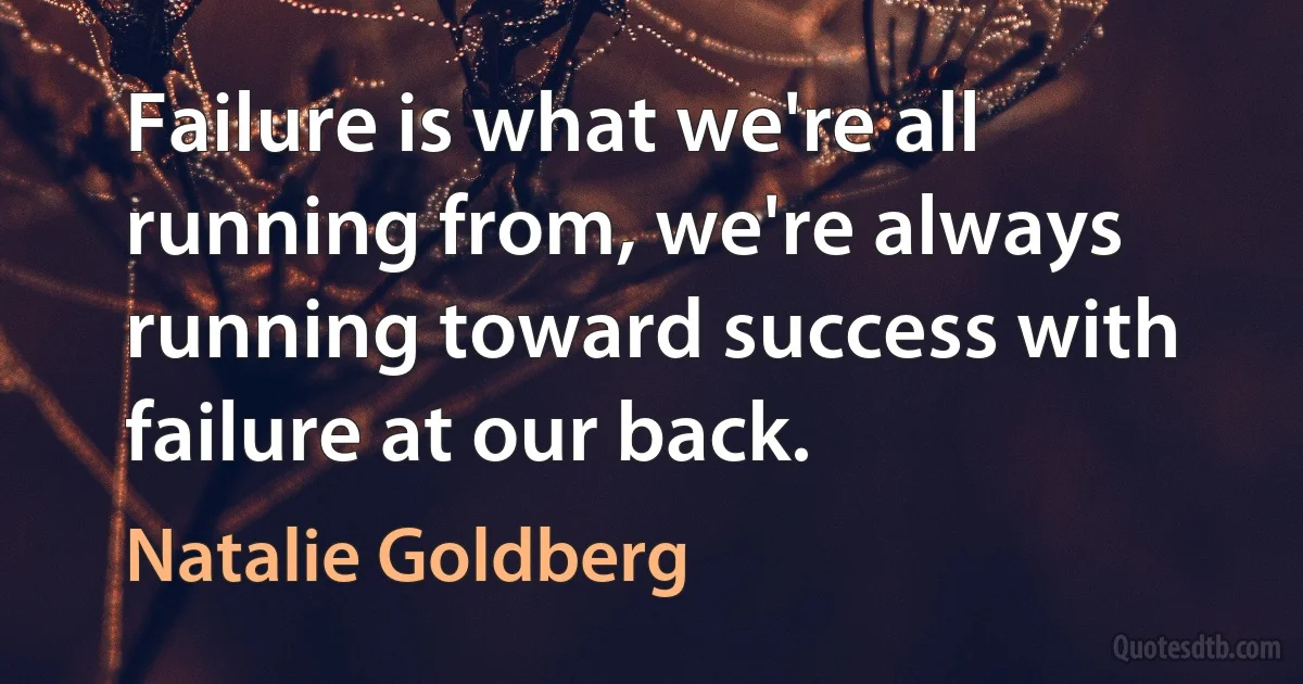 Failure is what we're all running from, we're always running toward success with failure at our back. (Natalie Goldberg)