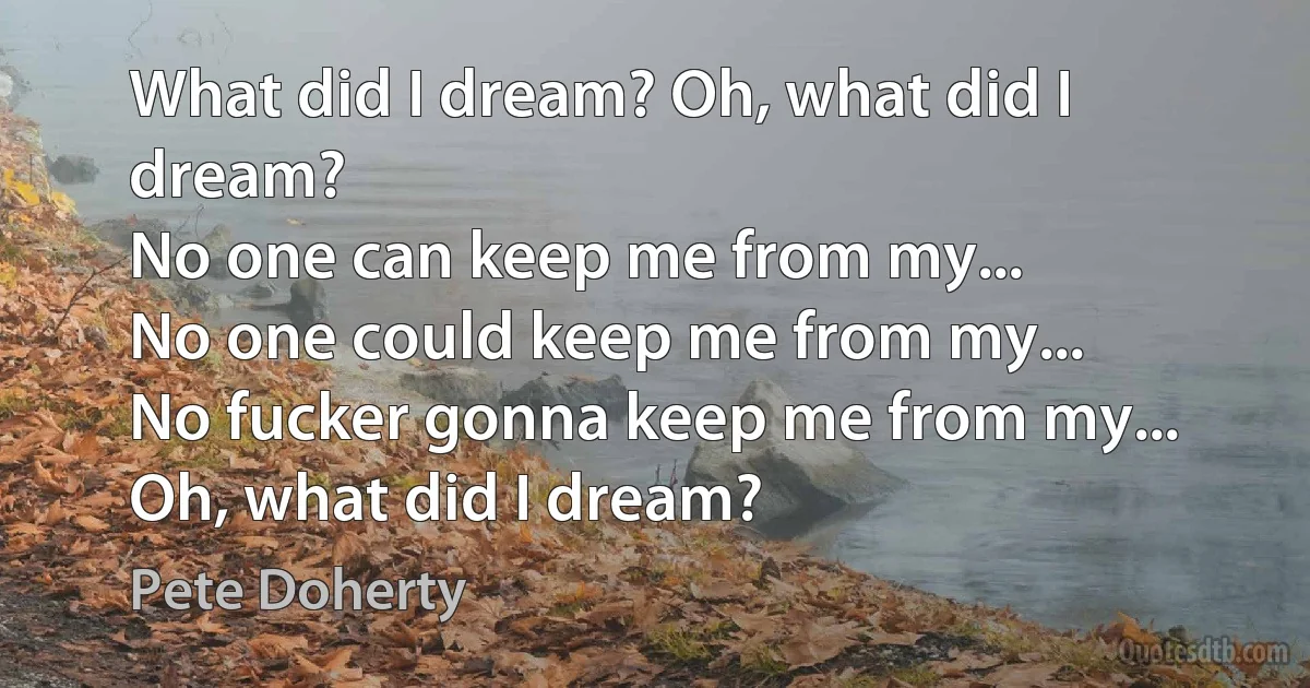 What did I dream? Oh, what did I dream?
No one can keep me from my...
No one could keep me from my...
No fucker gonna keep me from my...
Oh, what did I dream? (Pete Doherty)