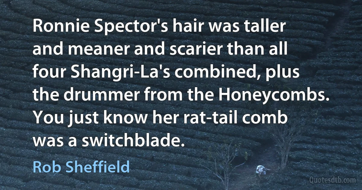 Ronnie Spector's hair was taller and meaner and scarier than all four Shangri-La's combined, plus the drummer from the Honeycombs. You just know her rat-tail comb was a switchblade. (Rob Sheffield)