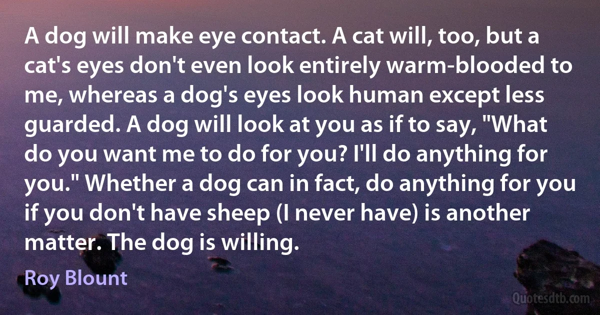 A dog will make eye contact. A cat will, too, but a cat's eyes don't even look entirely warm-blooded to me, whereas a dog's eyes look human except less guarded. A dog will look at you as if to say, "What do you want me to do for you? I'll do anything for you." Whether a dog can in fact, do anything for you if you don't have sheep (I never have) is another matter. The dog is willing. (Roy Blount)