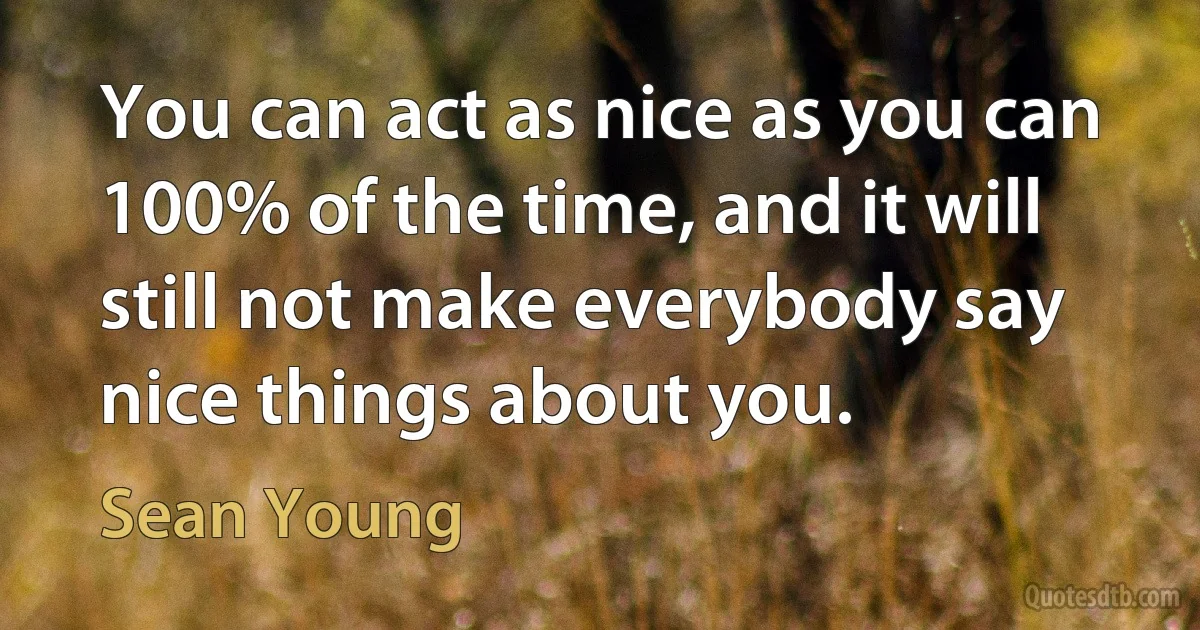 You can act as nice as you can 100% of the time, and it will still not make everybody say nice things about you. (Sean Young)