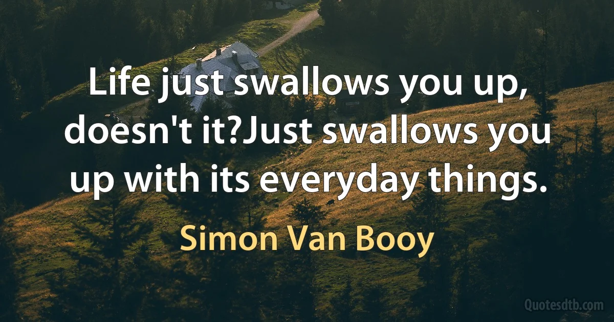 Life just swallows you up, doesn't it?Just swallows you up with its everyday things. (Simon Van Booy)