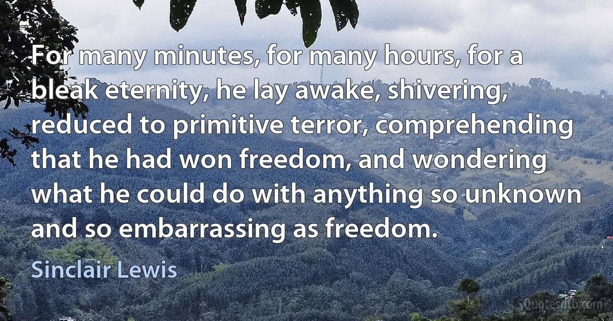 For many minutes, for many hours, for a bleak eternity, he lay awake, shivering, reduced to primitive terror, comprehending that he had won freedom, and wondering what he could do with anything so unknown and so embarrassing as freedom. (Sinclair Lewis)