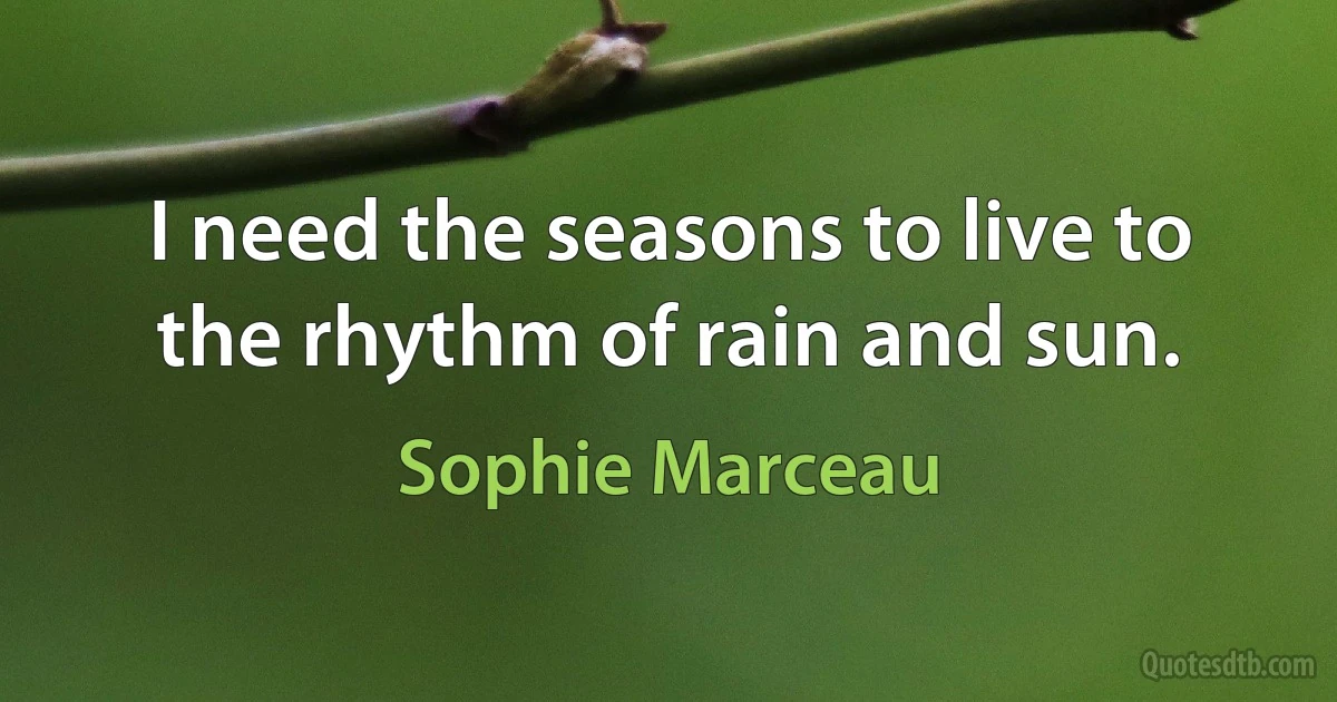 I need the seasons to live to the rhythm of rain and sun. (Sophie Marceau)