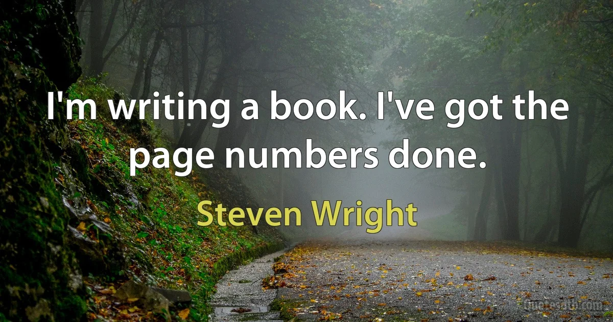 I'm writing a book. I've got the page numbers done. (Steven Wright)