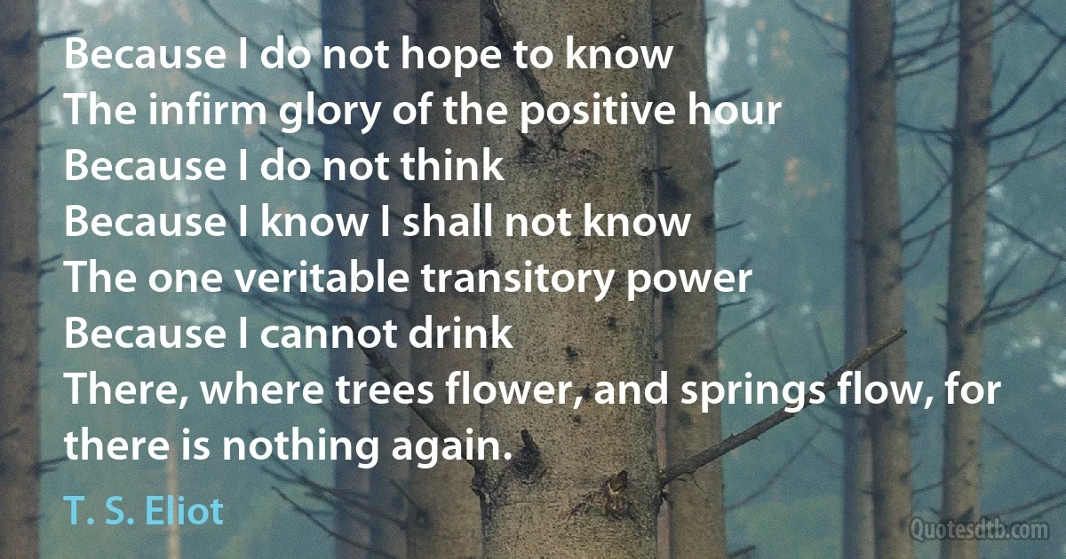 Because I do not hope to know
The infirm glory of the positive hour
Because I do not think
Because I know I shall not know
The one veritable transitory power
Because I cannot drink
There, where trees flower, and springs flow, for there is nothing again. (T. S. Eliot)