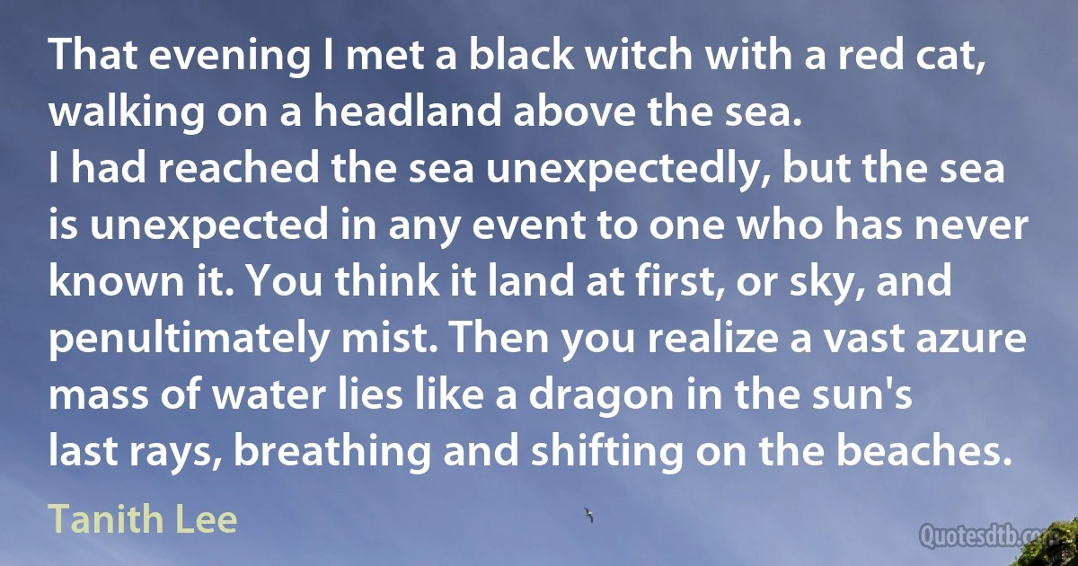 That evening I met a black witch with a red cat, walking on a headland above the sea.
I had reached the sea unexpectedly, but the sea is unexpected in any event to one who has never known it. You think it land at first, or sky, and penultimately mist. Then you realize a vast azure mass of water lies like a dragon in the sun's last rays, breathing and shifting on the beaches. (Tanith Lee)