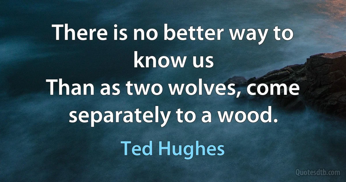 There is no better way to know us
Than as two wolves, come separately to a wood. (Ted Hughes)