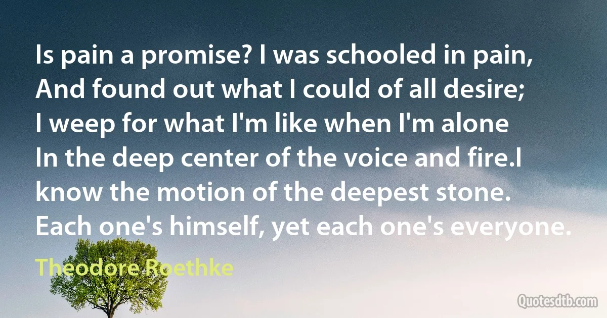 Is pain a promise? I was schooled in pain,
And found out what I could of all desire;
I weep for what I'm like when I'm alone
In the deep center of the voice and fire.I know the motion of the deepest stone.
Each one's himself, yet each one's everyone. (Theodore Roethke)