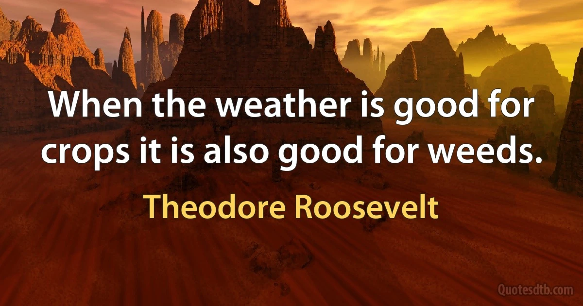 When the weather is good for crops it is also good for weeds. (Theodore Roosevelt)