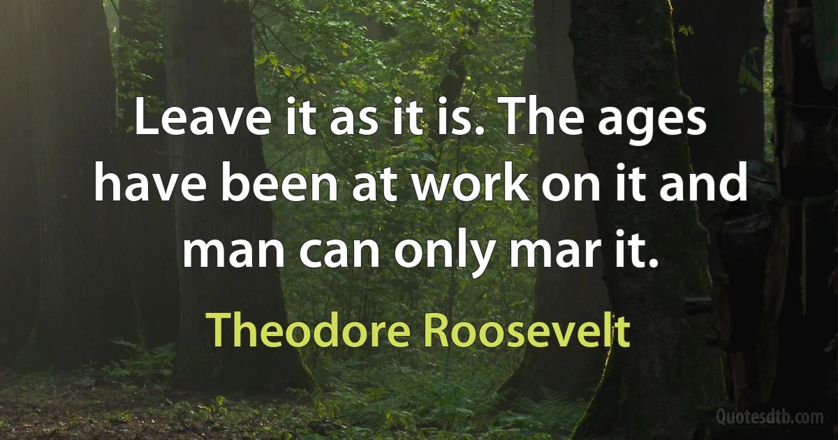 Leave it as it is. The ages have been at work on it and man can only mar it. (Theodore Roosevelt)