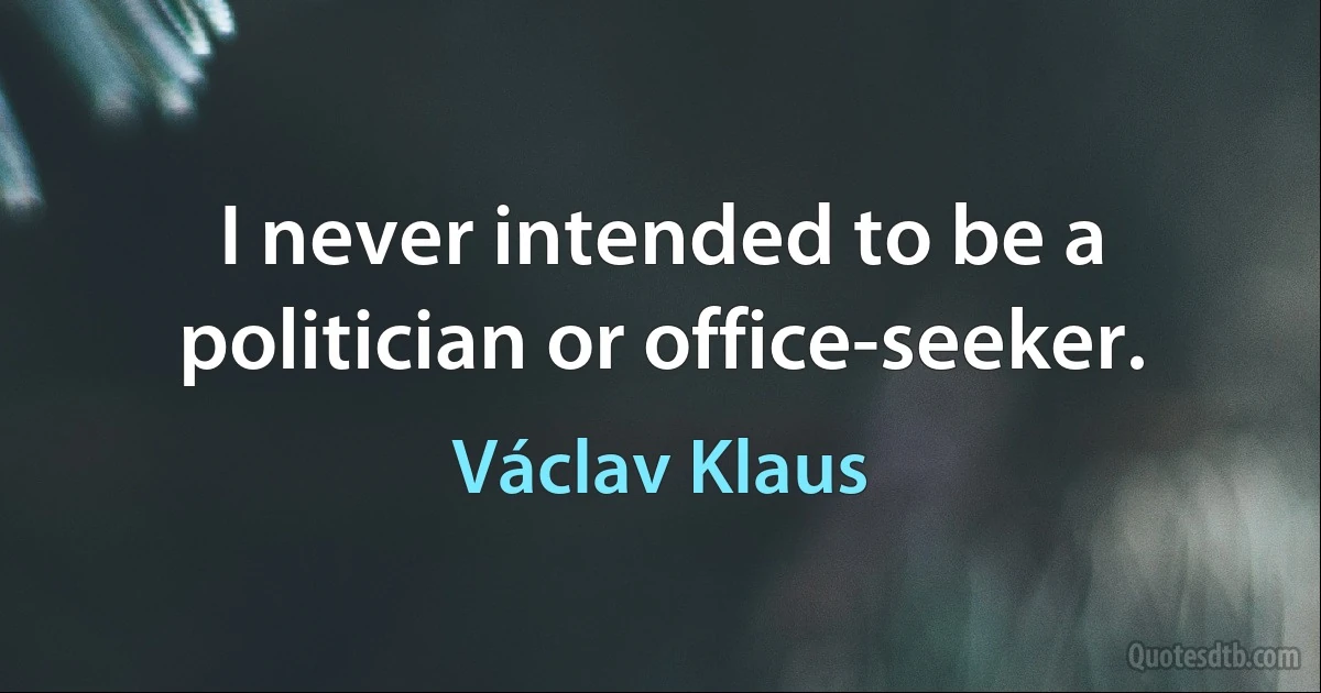 I never intended to be a politician or office-seeker. (Václav Klaus)