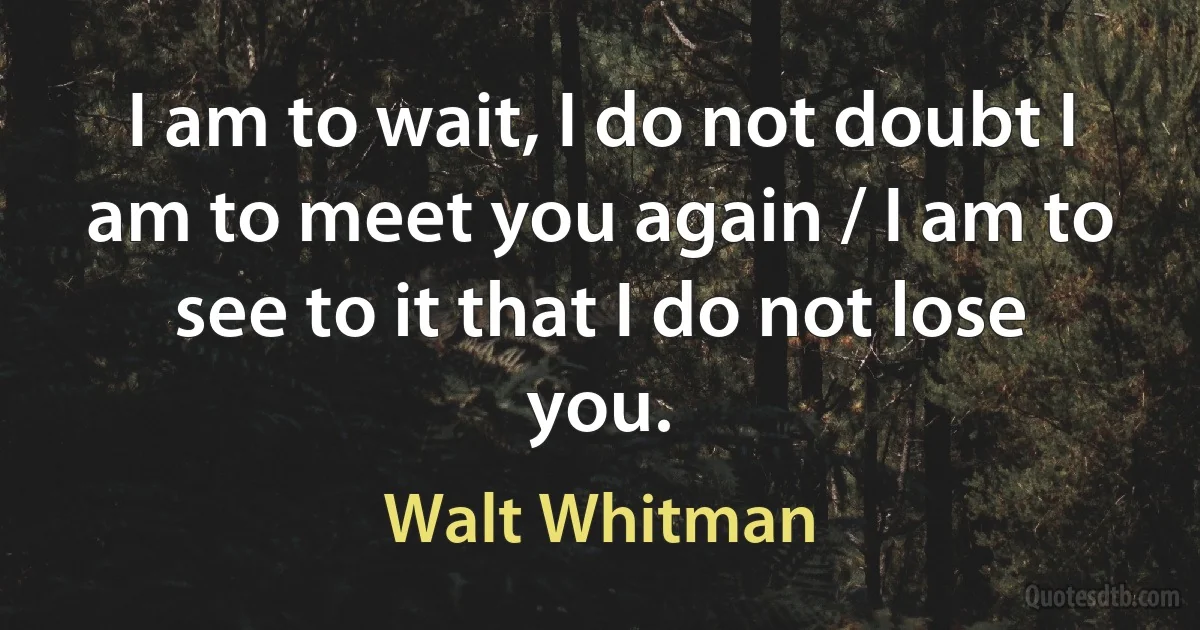 I am to wait, I do not doubt I am to meet you again / I am to see to it that I do not lose you. (Walt Whitman)