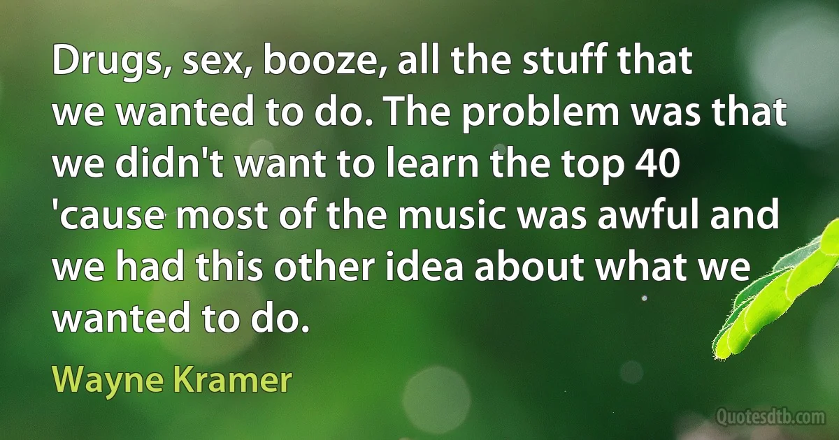 Drugs, sex, booze, all the stuff that we wanted to do. The problem was that we didn't want to learn the top 40 'cause most of the music was awful and we had this other idea about what we wanted to do. (Wayne Kramer)