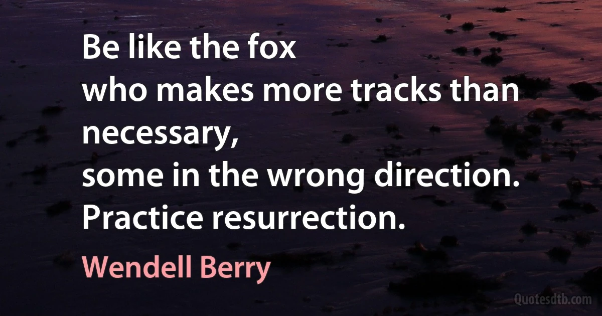 Be like the fox
who makes more tracks than necessary,
some in the wrong direction.
Practice resurrection. (Wendell Berry)