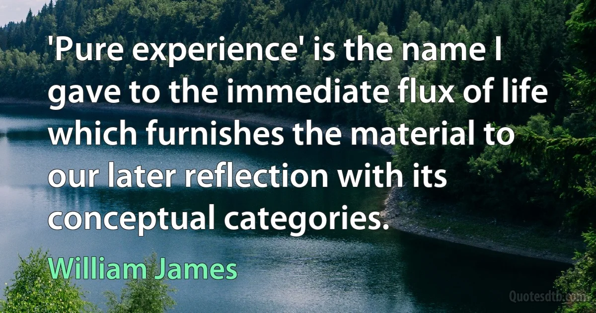 'Pure experience' is the name I gave to the immediate flux of life which furnishes the material to our later reflection with its conceptual categories. (William James)