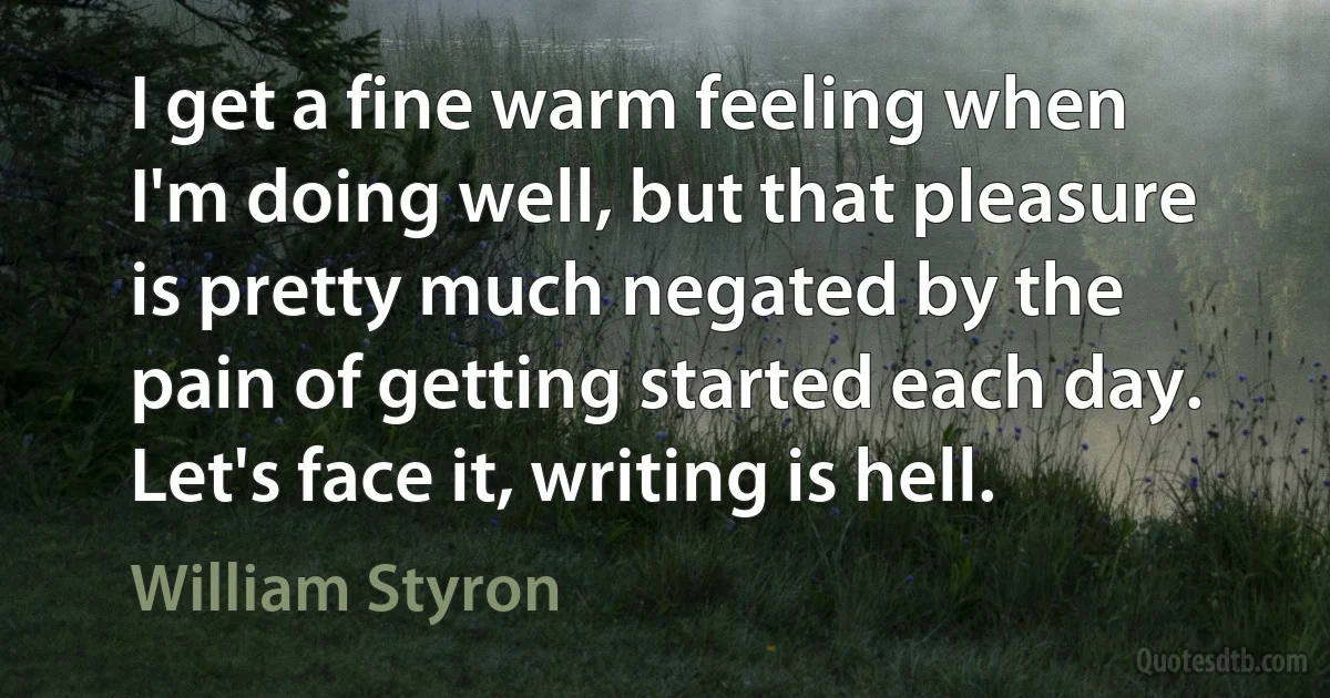 I get a fine warm feeling when I'm doing well, but that pleasure is pretty much negated by the pain of getting started each day. Let's face it, writing is hell. (William Styron)