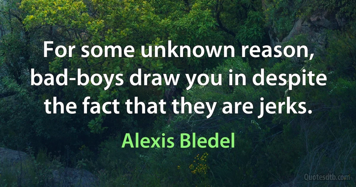 For some unknown reason, bad-boys draw you in despite the fact that they are jerks. (Alexis Bledel)