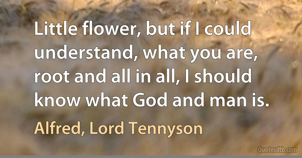 Little flower, but if I could understand, what you are, root and all in all, I should know what God and man is. (Alfred, Lord Tennyson)