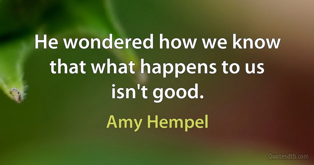 He wondered how we know that what happens to us isn't good. (Amy Hempel)