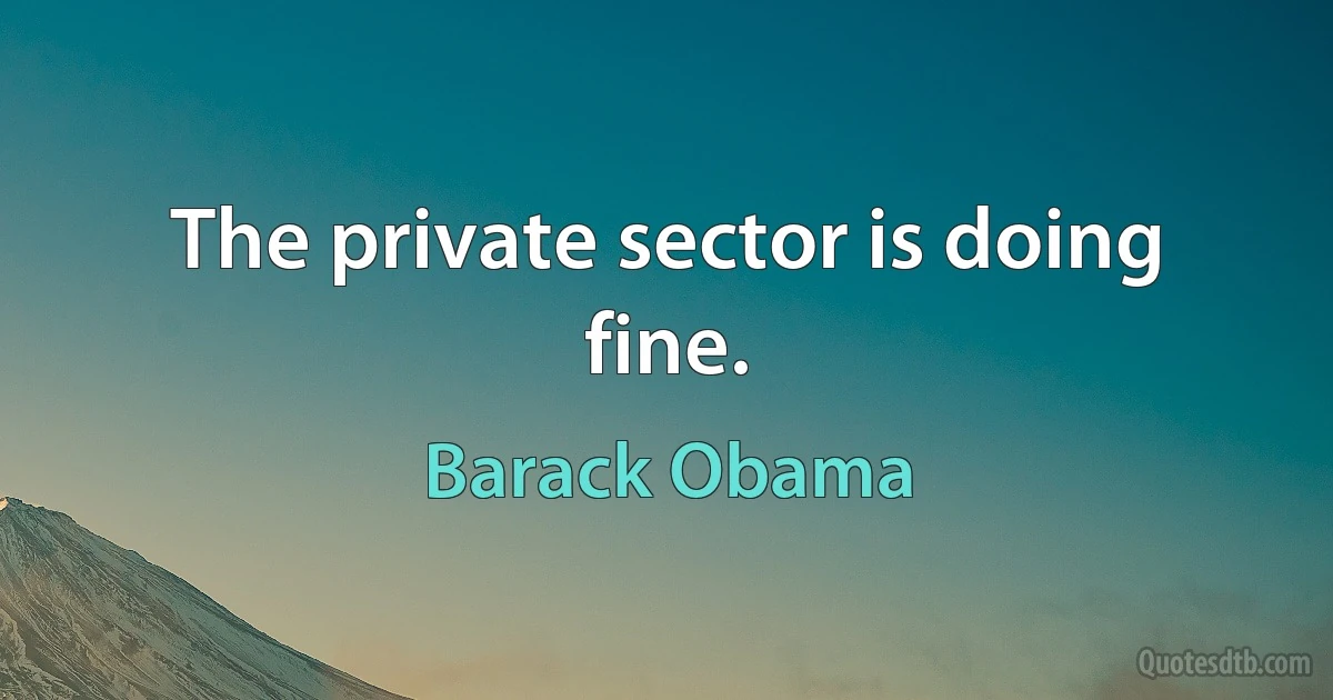 The private sector is doing fine. (Barack Obama)