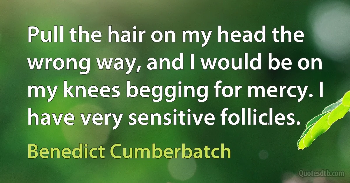 Pull the hair on my head the wrong way, and I would be on my knees begging for mercy. I have very sensitive follicles. (Benedict Cumberbatch)