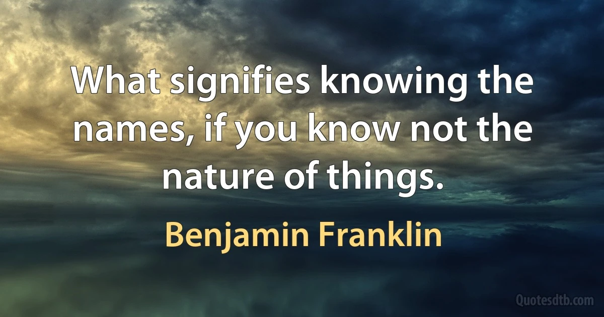 What signifies knowing the names, if you know not the nature of things. (Benjamin Franklin)