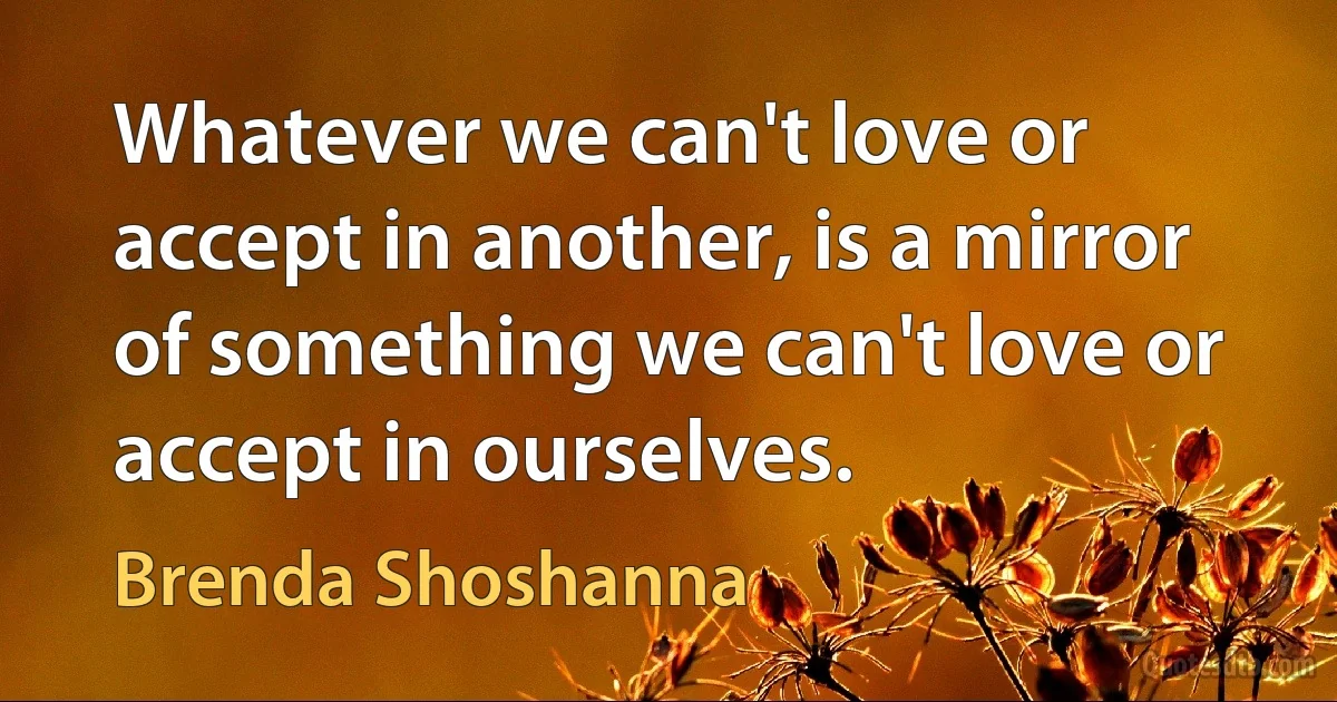 Whatever we can't love or accept in another, is a mirror of something we can't love or accept in ourselves. (Brenda Shoshanna)